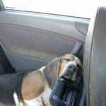 Jet's Pizza Arlington Heights